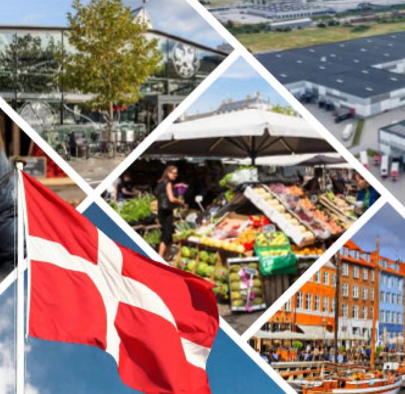 Fotocollage von Bildern der Studienreise nach Kopenhagen mit Stadtmotiven, Flagge und Märkten