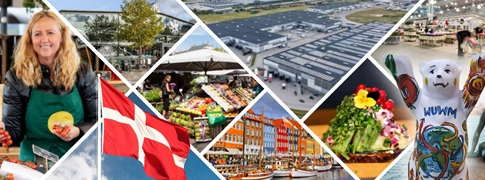 Fotocollage von Bildern der Studienreise nach Kopenhagen mit Stadtmotiven, Flagge und Märkten