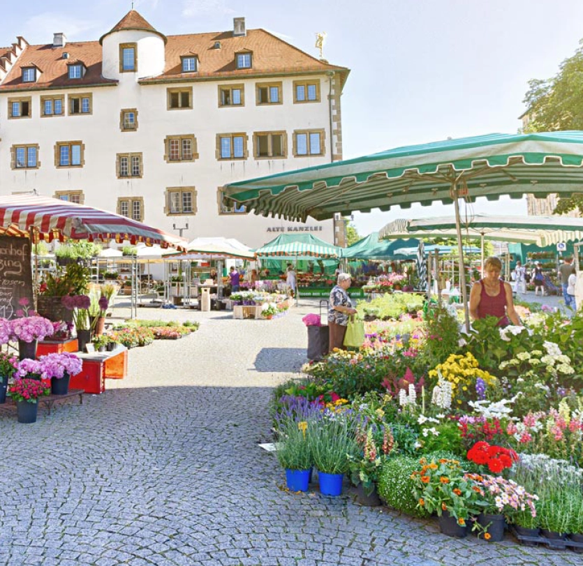 Wochenmarkt